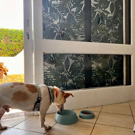 Studio Albufeira Jardim T0 Extérieur photo