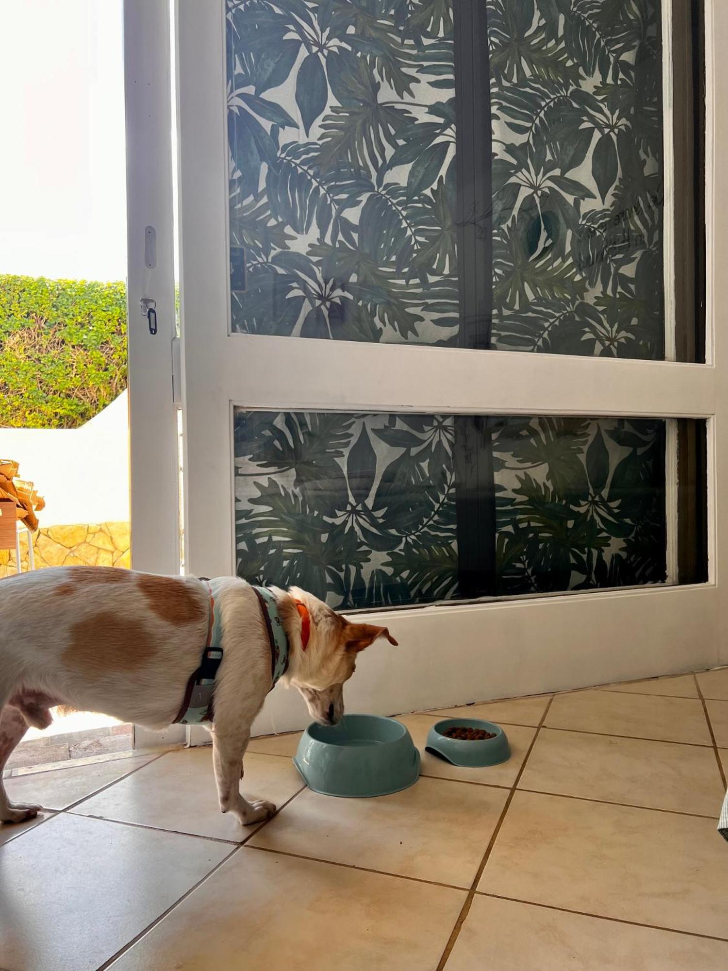 Studio Albufeira Jardim T0 Extérieur photo