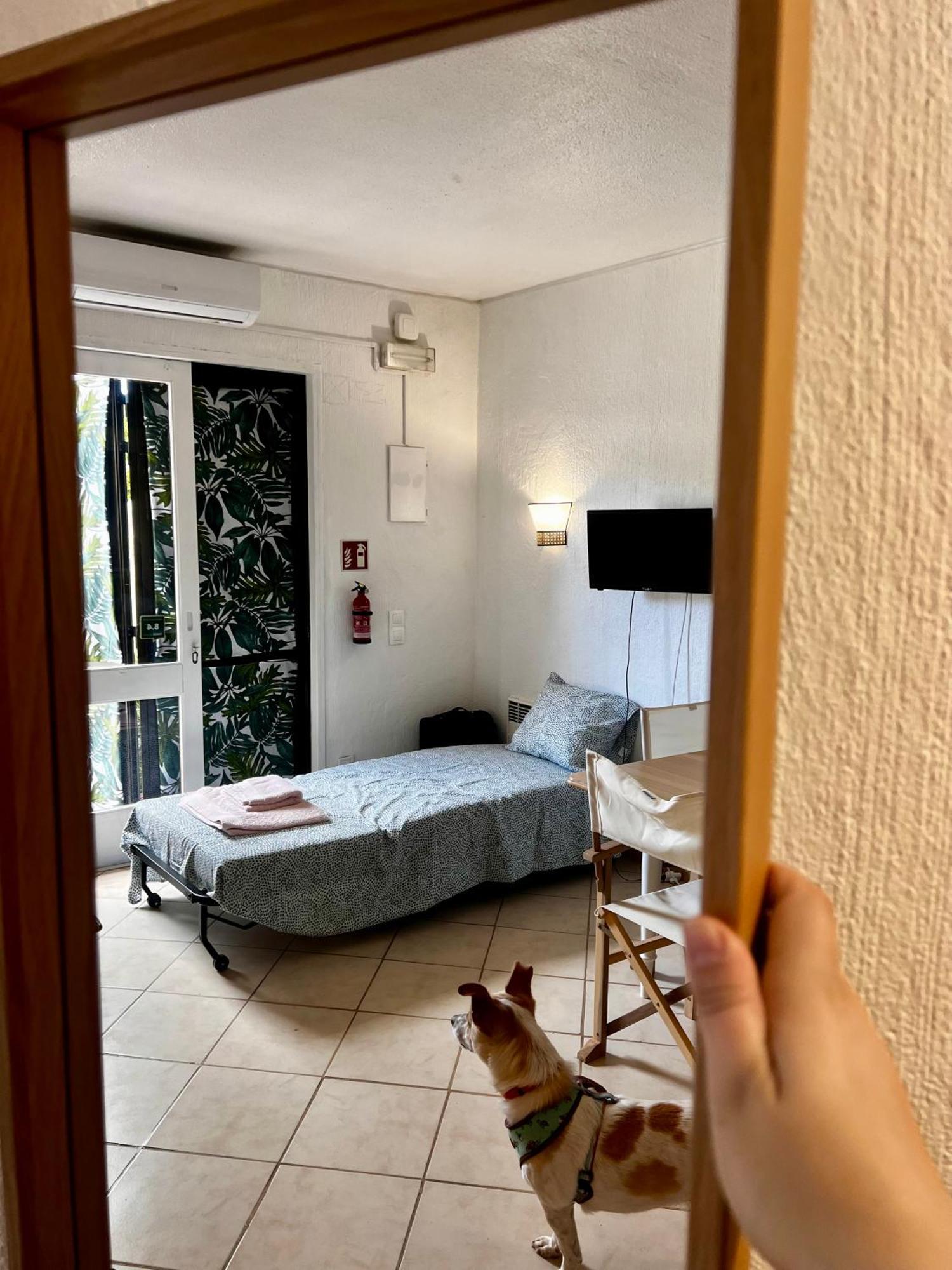 Studio Albufeira Jardim T0 Extérieur photo